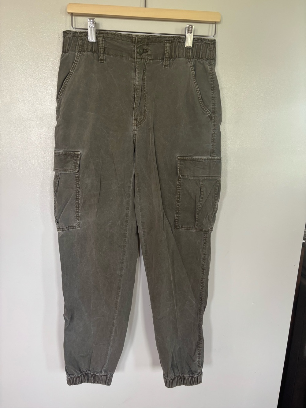 American Eagle Outfitters Olive Cargo Jogger Pants